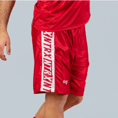Stormfur Beast Mode - Vision Hybrid Shorts