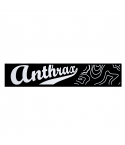 Anthrax Geo Patch