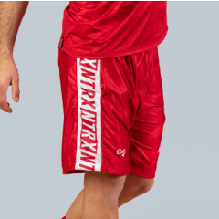 Stormfur Beast Mode - Vision Hybrid Shorts